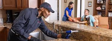 Best Real Estate Pest Inspections  in Sayville, NY